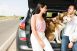 Auto Loan Rate Special!