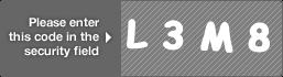 captcha code for visual authentication  letter L number 3 letter M number 8